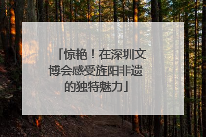 惊艳！在深圳文博会感受旌阳非遗的独特魅力