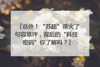 意外！“苏超”带火了句容草坪，背后的“科技密码”你了解吗？