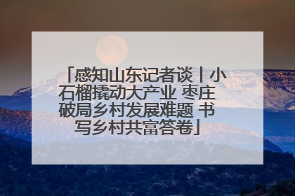 感知山东记者谈丨小石榴撬动大产业 枣庄破局乡村发展难题 书写乡村共富答卷