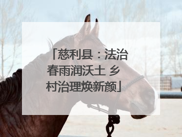 慈利县：法治春雨润沃土 乡村治理焕新颜