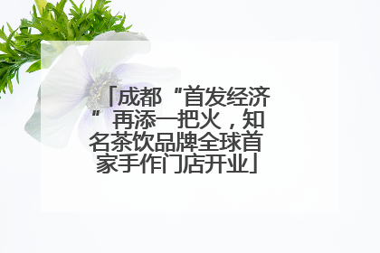 成都“首发经济”再添一把火，知名茶饮品牌全球首家手作门店开业