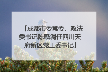 成都市委常委、政法委书记陈麟调任四川天府新区党工委书记