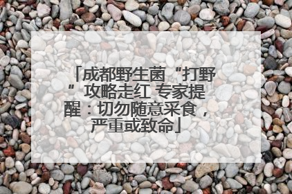 成都野生菌“打野”攻略走红 专家提醒：切勿随意采食，严重或致命