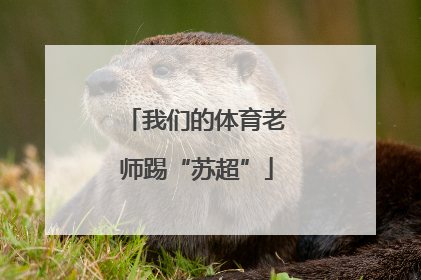 我们的体育老师踢“苏超”
