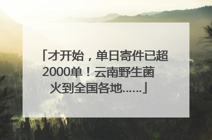 才开始，单日寄件已超2000单！云南野生菌火到全国各地……