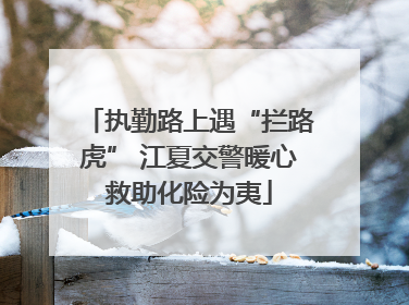 执勤路上遇“拦路虎” 江夏交警暖心救助化险为夷