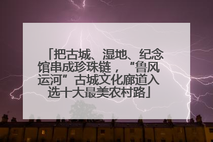 把古城、湿地、纪念馆串成珍珠链，“鲁风运河”古城文化廊道入选十大最美农村路