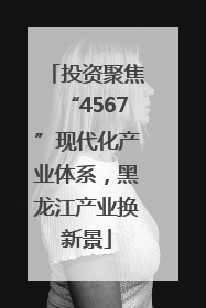 投资聚焦“4567”现代化产业体系，黑龙江产业换新景
