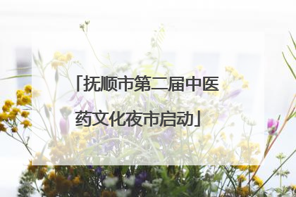 抚顺市第二届中医药文化夜市启动