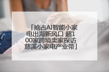 抢占AI智能小家电出海新风口 超100家跨境卖家探访慈溪小家电产业带