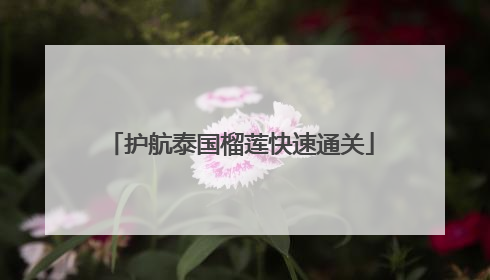 护航泰国榴莲快速通关