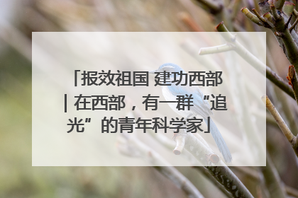 报效祖国 建功西部｜在西部，有一群“追光”的青年科学家