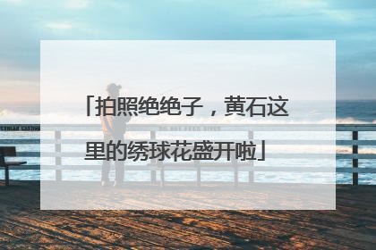 拍照绝绝子，黄石这里的绣球花盛开啦