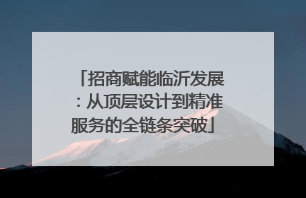 招商赋能临沂发展：从顶层设计到精准服务的全链条突破