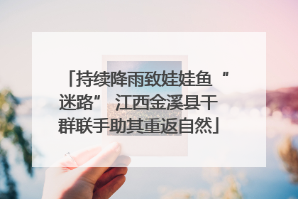 持续降雨致娃娃鱼“迷路” 江西金溪县干群联手助其重返自然