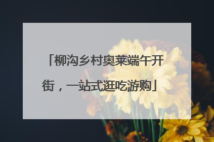 柳沟乡村奥莱端午开街，一站式逛吃游购