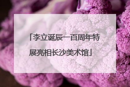李立诞辰一百周年特展亮相长沙美术馆
