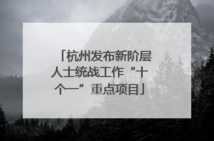 杭州发布新阶层人士统战工作“十个一”重点项目