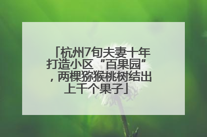 杭州7旬夫妻十年打造小区“百果园”，两棵猕猴桃树结出上千个果子