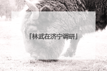 林武在济宁调研