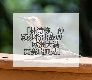 林诗栋、孙颖莎将出战WTT欧洲大满贯赛瑞典站