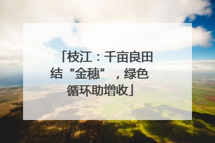 枝江：千亩良田结“金穗”，绿色循环助增收