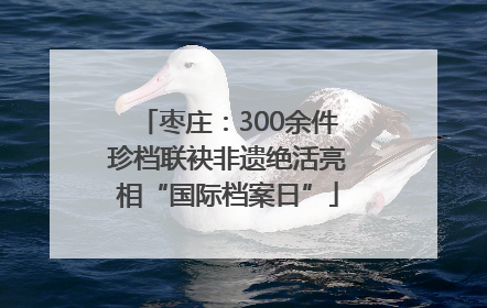 枣庄：300余件珍档联袂非遗绝活亮相“国际档案日”