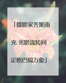 摄影家齐聚南充 光影流转间定格巴蜀万象