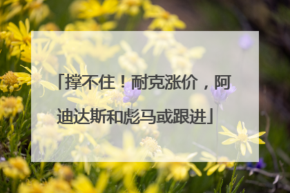 撑不住！耐克涨价，阿迪达斯和彪马或跟进