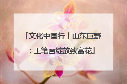 文化中国行丨山东巨野：工笔画绽放致富花