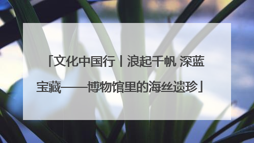 文化中国行丨浪起千帆 深蓝宝藏——博物馆里的海丝遗珍