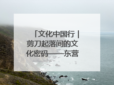 文化中国行｜剪刀起落间的文化密码——东营剪纸“剪”出非遗传承与现代生活的融合之道