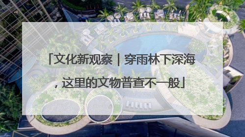 文化新观察｜穿雨林下深海，这里的文物普查不一般