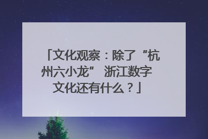 文化观察：除了“杭州六小龙” 浙江数字文化还有什么？
