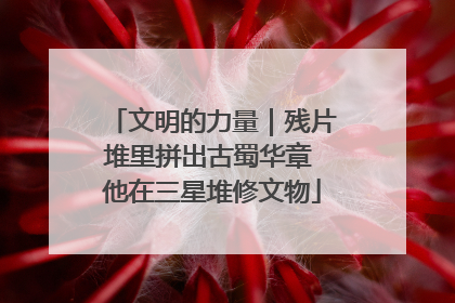 文明的力量｜残片堆里拼出古蜀华章 他在三星堆修文物