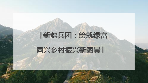 新疆兵团：绘就绿富同兴乡村振兴新图景