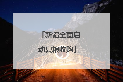 新疆全面启动夏粮收购