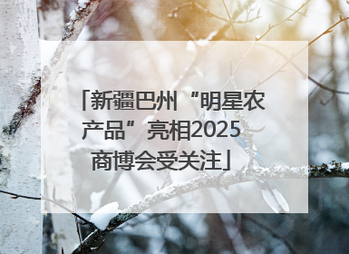 新疆巴州“明星农产品”亮相2025商博会受关注