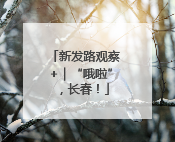 新发路观察+｜“哦啦”，长春！