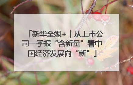 新华全媒+｜从上市公司一季报“含新量”看中国经济发展向“新”