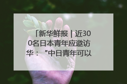 新华鲜报｜近300名日本青年应邀访华：“中日青年可以创造更好的未来”