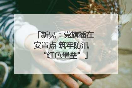 新晃：党旗插在安置点 筑牢防汛“红色堡垒”