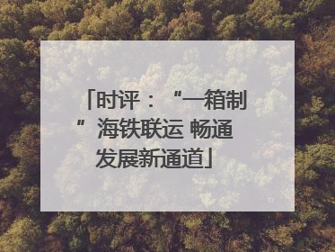 时评：“一箱制”海铁联运 畅通发展新通道