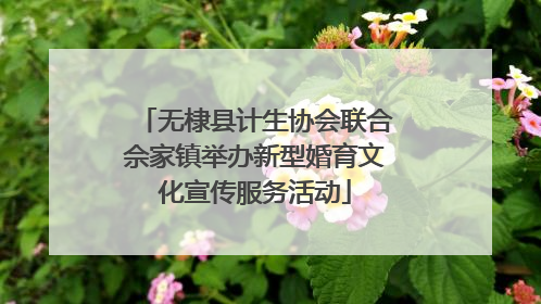 无棣县计生协会联合佘家镇举办新型婚育文化宣传服务活动