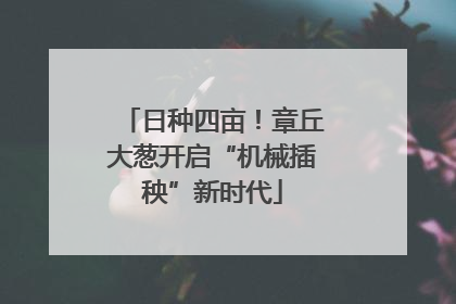 日种四亩！章丘大葱开启“机械插秧”新时代