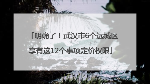 明确了！武汉市6个远城区享有这12个事项定价权限