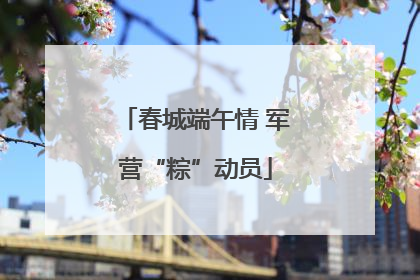 春城端午情 军营“粽”动员