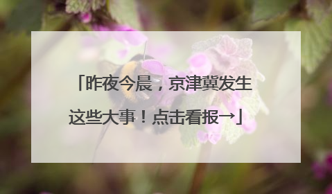 昨夜今晨，京津冀发生这些大事！点击看报→