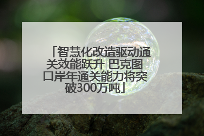 智慧化改造驱动通关效能跃升 巴克图口岸年通关能力将突破300万吨