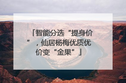 智能分选“提身价”，仙居杨梅优质优价变“金果”